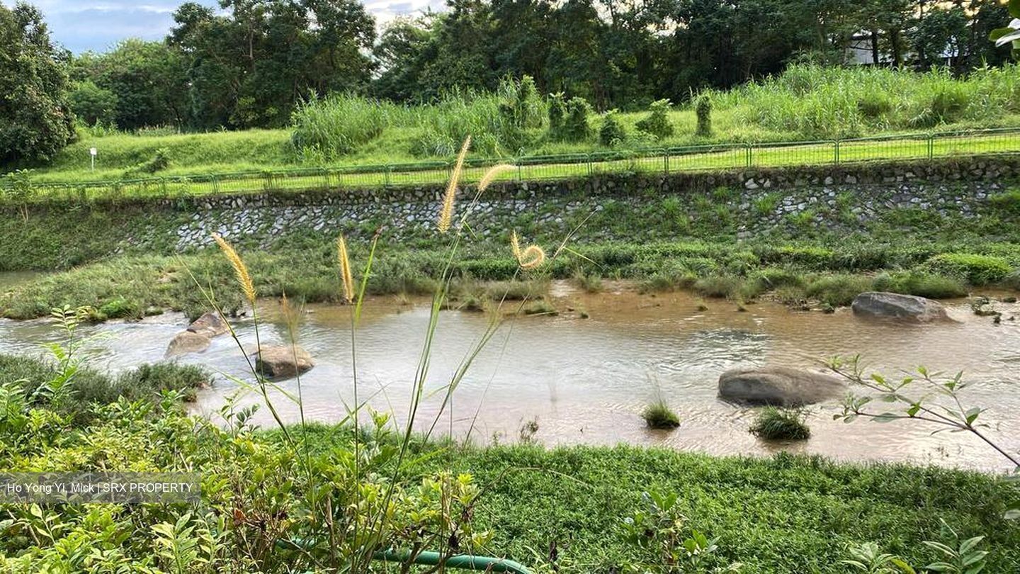 Blk 687A Choa Chu Kang Drive (Choa Chu Kang), HDB 4 Rooms #489176761